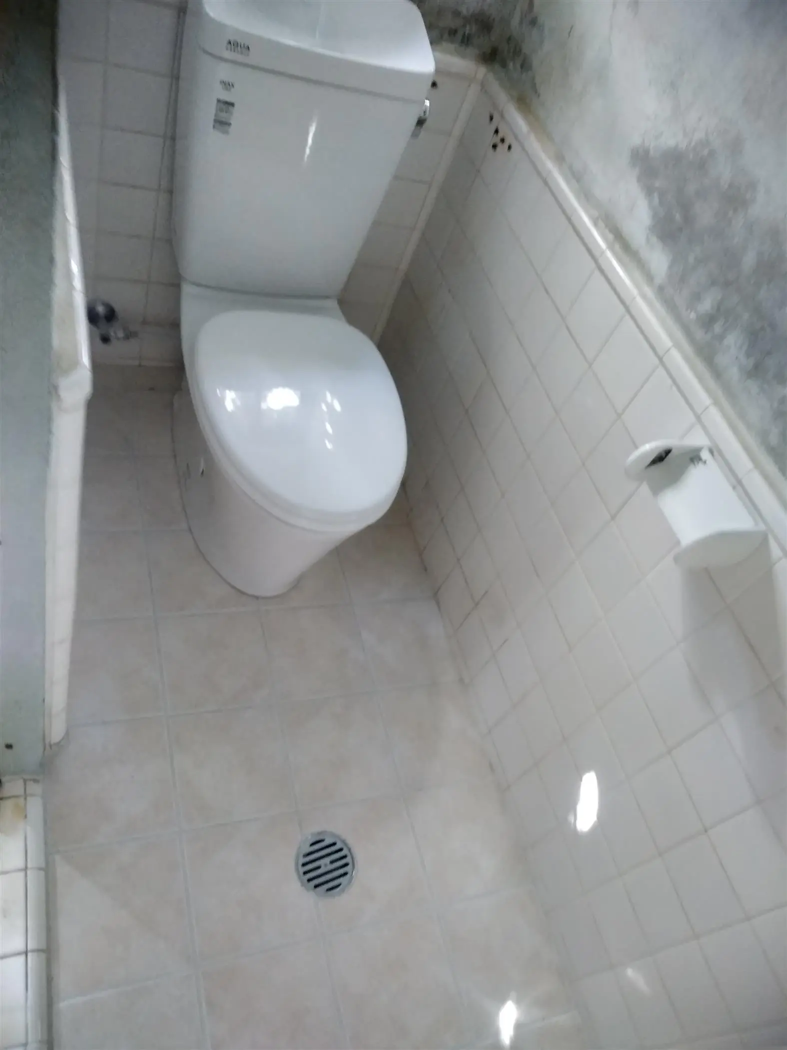 沖縄で施工したリフォーム・那覇で施工したリフォーム施工後の写真：和式トイレから洋式トイレへ
