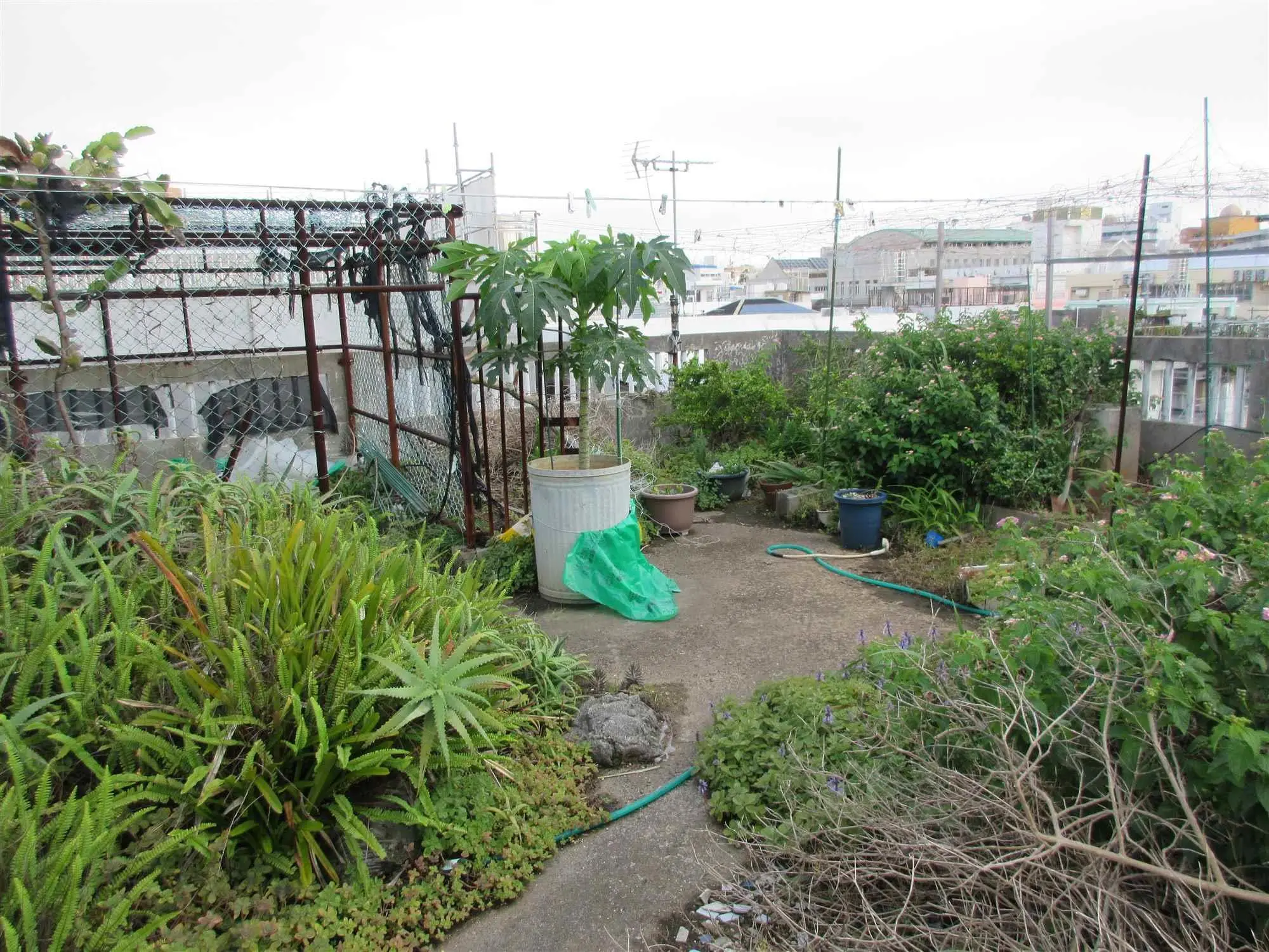 沖縄でリフォーム・那覇でリフォーム施工前の写真：全面外壁塗装・防水工事