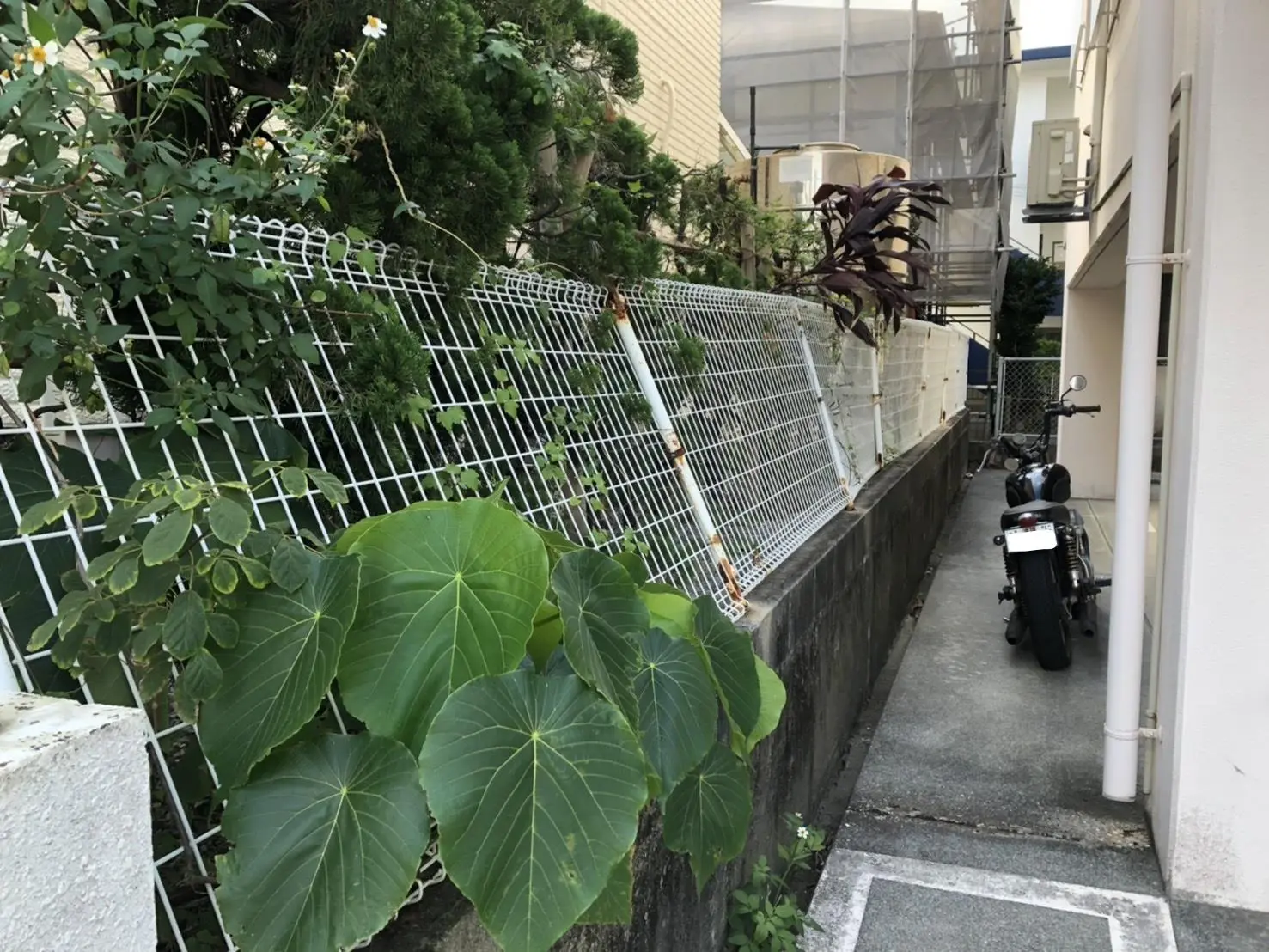 沖縄で施工したリフォーム・那覇で施工したリフォーム施工前の写真：フェンス工事